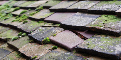 Moor End roof repair costs